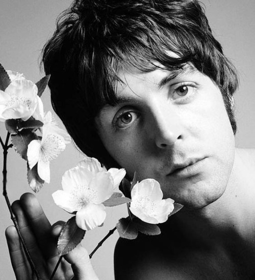 Photo shoot with Richard Avedon • The Paul McCartney Project